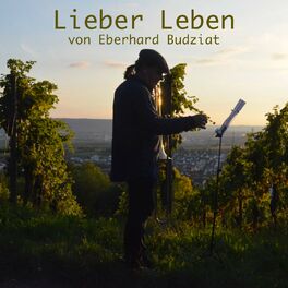 Album cover of Lieber Leben