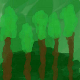 Album cover of Forest