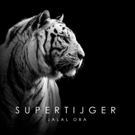 Album cover of Supertijger
