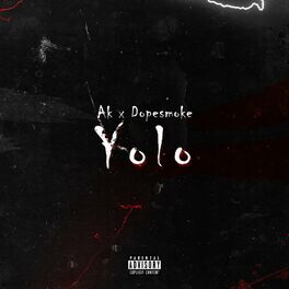 Album cover of Yolo