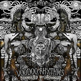 Album cover of VOODOO RHYTHMS (Chapter 9)