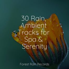 Album cover of 30 Rain, Ambient Tracks for Spa & Serenity
