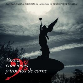 Album cover of Versos, canciones y trocitos de carne