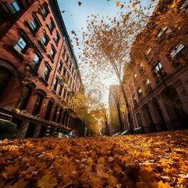 Album cover of Pian Sounds: Autumn Mornings in Park Slope, New York City