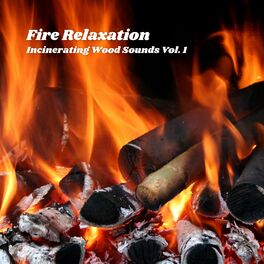 Album cover of Fire Relaxation: Incinerating Wood Sounds Vol. 1