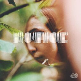 Album cover of Notice (feat. Tico)