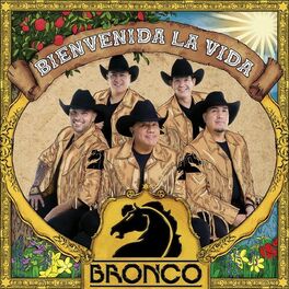 Album cover of Bienvenida La Vida