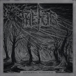Album cover of Perpetual Blackness