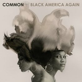Album cover of Black America Again