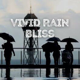 Album cover of Vivid Rain Bliss
