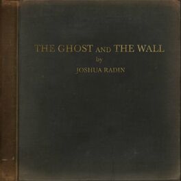 Album cover of The Ghost and the Wall