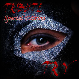 Album cover of Try (Tribute to Pink Special Edition)