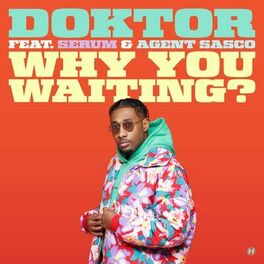 Album cover of Why You Waiting?