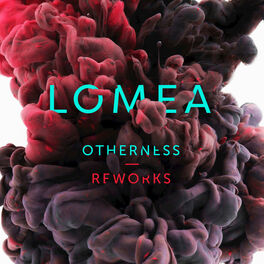 Album cover of Otherness Reworks