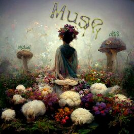 Album cover of Muse