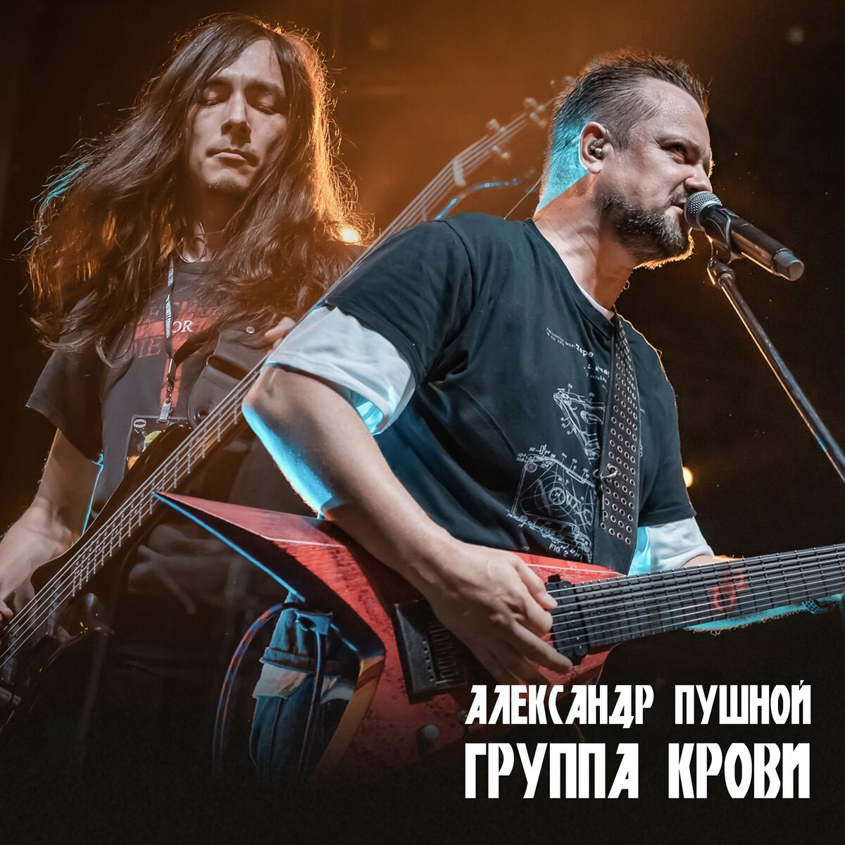 Александр Пушной: альбомы, песни, плейлисты | Слушайте на Deezer