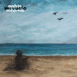Album cover of Mi vuelo
