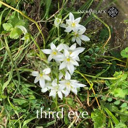 Album cover of Third Eye