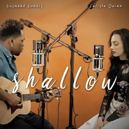 Album cover of Shallow