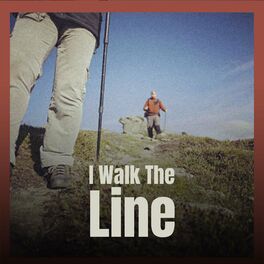 Album cover of I Walk The Line