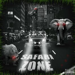 Album cover of Safari Zone