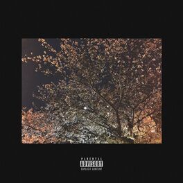 Album cover of it kills me