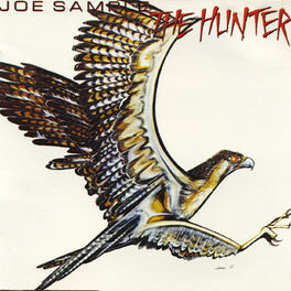 Album cover of The Hunter