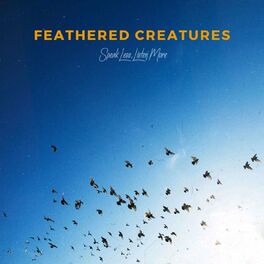 Album cover of Feathered Creatures