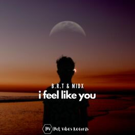 Album cover of I Feel Like You
