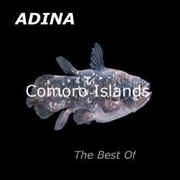 Album cover of Comoro islands