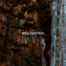 Album cover of Mis Cuernos