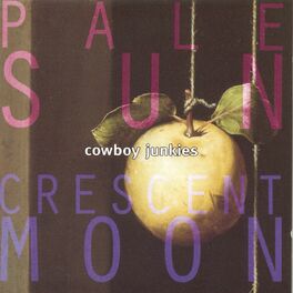 Album cover of Pale Sun Crescent Moon