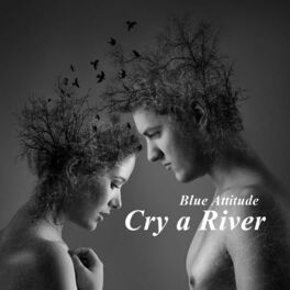 Album cover of Cry a River (feat. Chris Spruit)