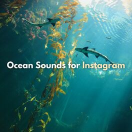 Album cover of Ocean Sounds for Instagram