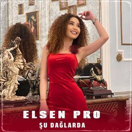 Album cover of Şu Dağlarda