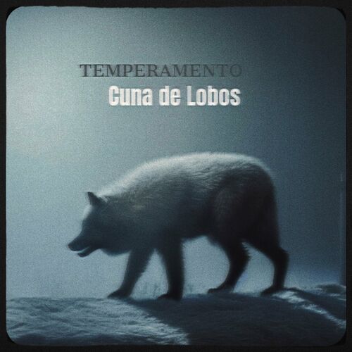 Temperamento - Cuna de Lobos: letras y canciones | Escúchalas en Deezer