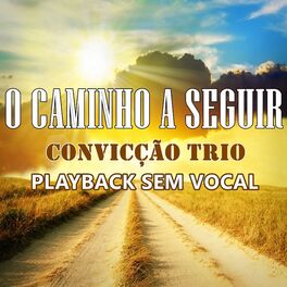 Album cover of O Caminho a Seguir (Instrumental)