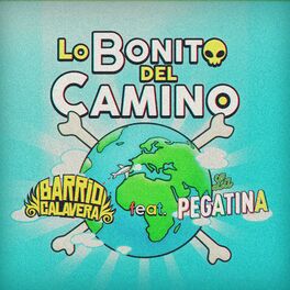 Album cover of Lo Bonito del Camino