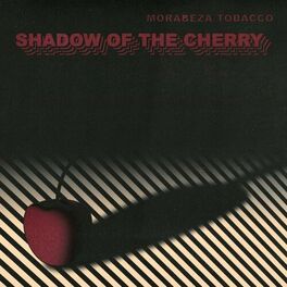 Album cover of Shadow of the Cherry