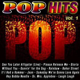 Album cover of Pop Hits Vol. 1