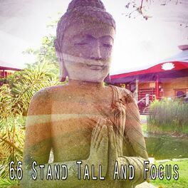 Album cover of 66 Stand Tall and Focus