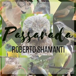 Album cover of Passarada