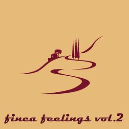 Album cover of Finca Feelings Vol.2