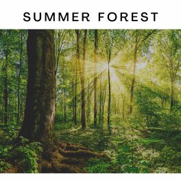 Album cover of Summer Forest