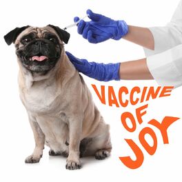Album cover of Vaccine of Joy