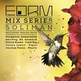 Album cover of Form Mix Series, Vol. 2 (Mixed by Soliman)