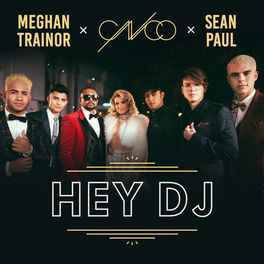 Album cover of Hey DJ (Remix)