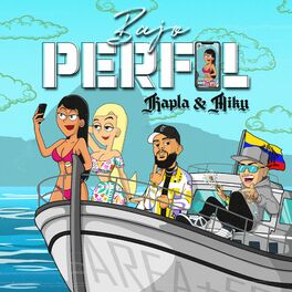Album cover of Bajo Perfil