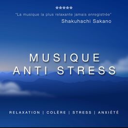 Album cover of Musique Anti Stress: Musique de Relaxation, Musique Douce pour la Colère, le Stress et l'Anxiété