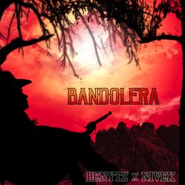 Album cover of Bandolera